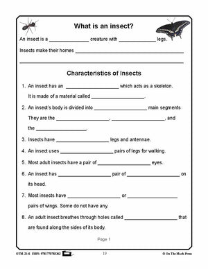 Amazing Insects Reading Worksheets and Cross - Curricular Activities Grades 4-6