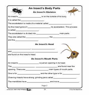 Amazing Insects Reading Worksheets and Cross - Curricular Activities Grades 4-6