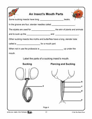 Amazing Insects Reading Worksheets and Cross - Curricular Activities Grades 4-6