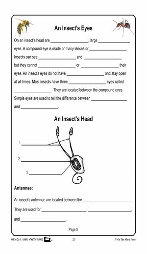Amazing Insects Reading Worksheets and Cross - Curricular Activities Grades 4-6