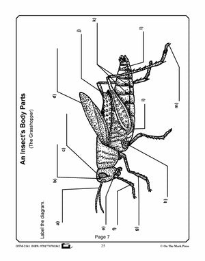 Amazing Insects Reading Worksheets and Cross - Curricular Activities Grades 4-6