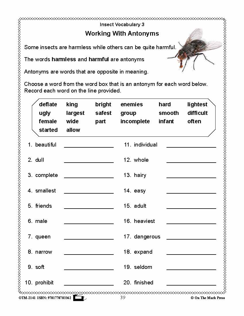 Amazing Insects Reading Worksheets and Cross - Curricular Activities Grades 4-6