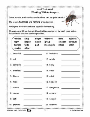 Amazing Insects Reading Worksheets and Cross - Curricular Activities Grades 4-6