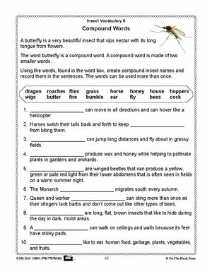 Amazing Insects Reading Worksheets and Cross - Curricular Activities Grades 4-6