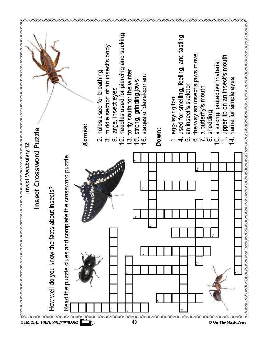Amazing Insects Reading Worksheets and Cross - Curricular Activities Grades 4-6