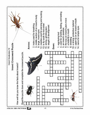 Amazing Insects Reading Worksheets and Cross - Curricular Activities Grades 4-6