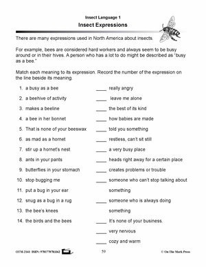 Amazing Insects Reading Worksheets and Cross - Curricular Activities Grades 4-6