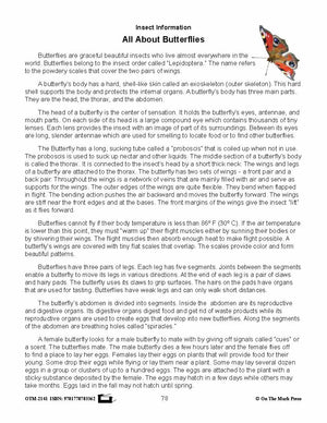 Amazing Insects Reading Worksheets and Cross - Curricular Activities Grades 4-6