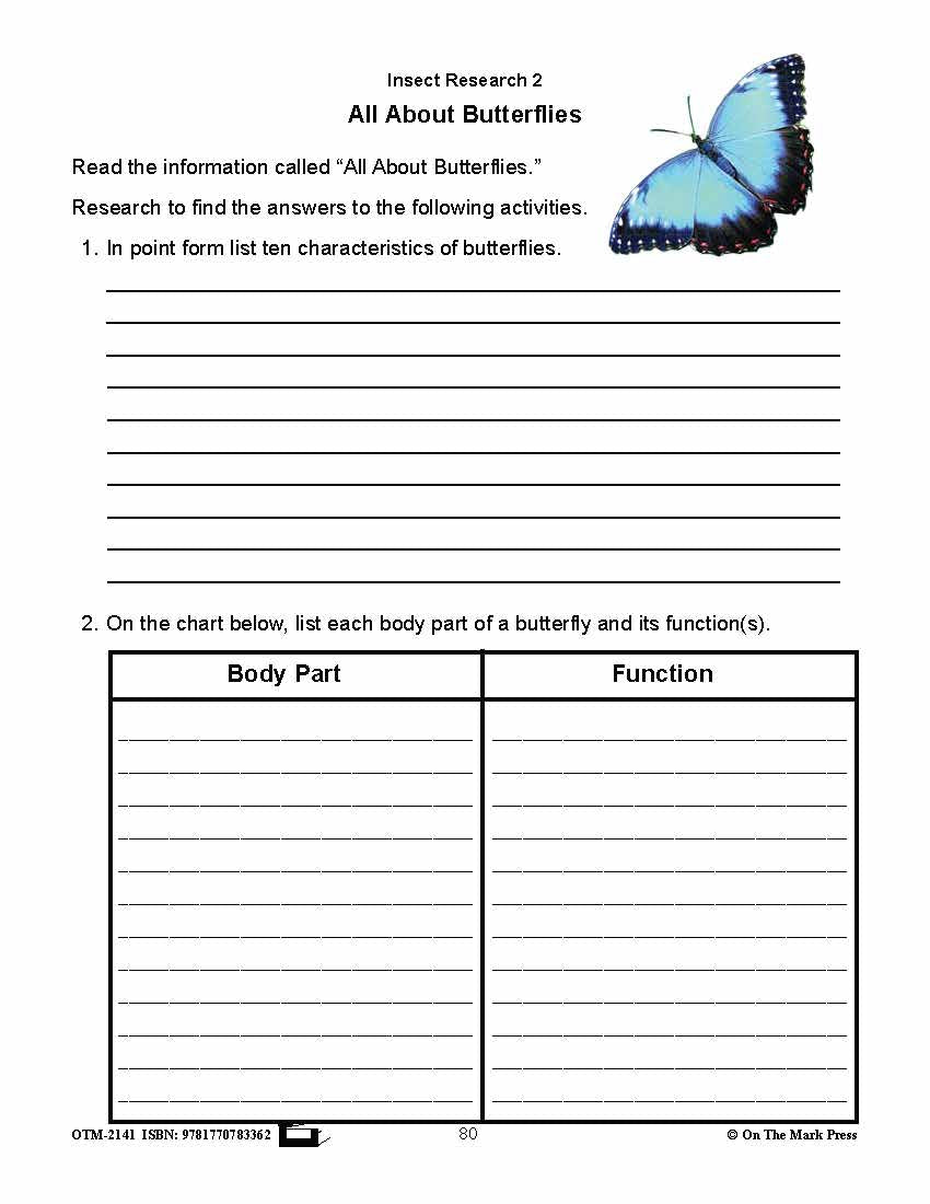 Amazing Insects Reading Worksheets and Cross - Curricular Activities Grades 4-6