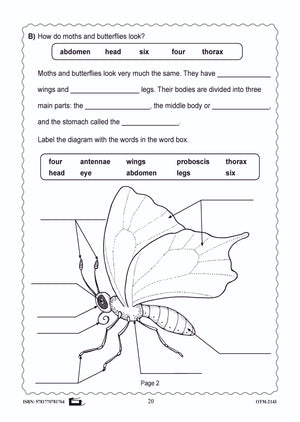 Butterflies and Moths Grades 3-4 - The similarities and differences activities and worksheets