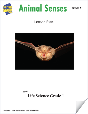 Animal Senses Lesson Plan and Student Worksheets Grade 1