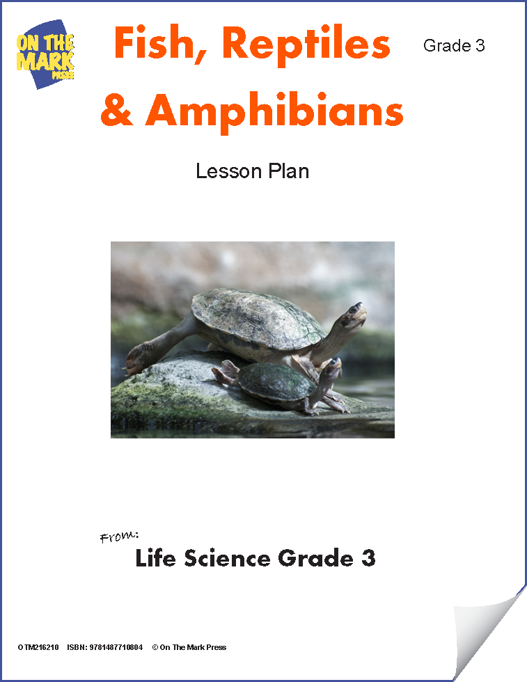 Fish, Reptiles & Amphibians Lesson Plan Grade 3