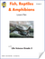 Fish, Reptiles & Amphibians Lesson Plan Grade 3