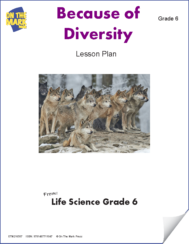 Because of Diversity Lesson and Worksheets Grade 6