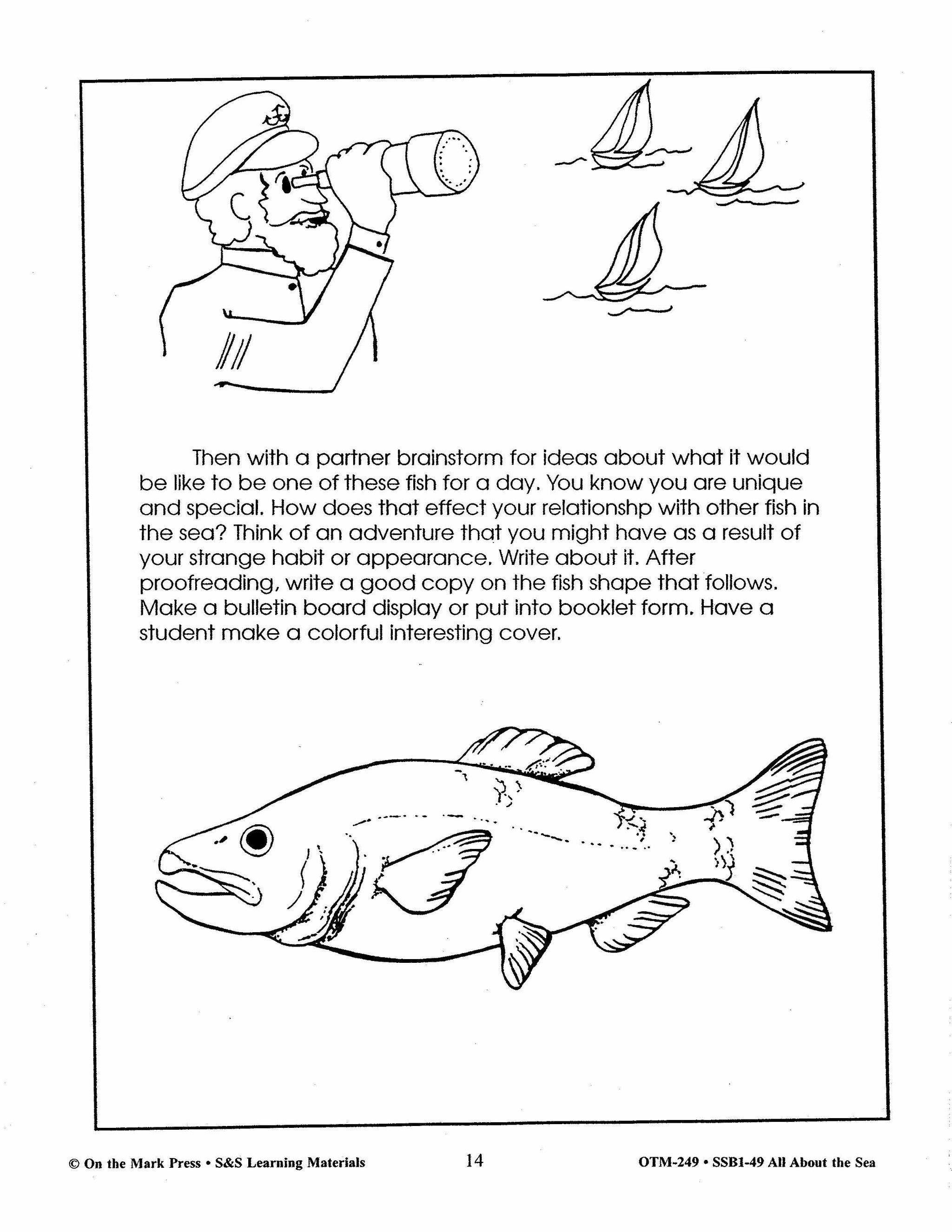 All About the Sea Grades 4-6