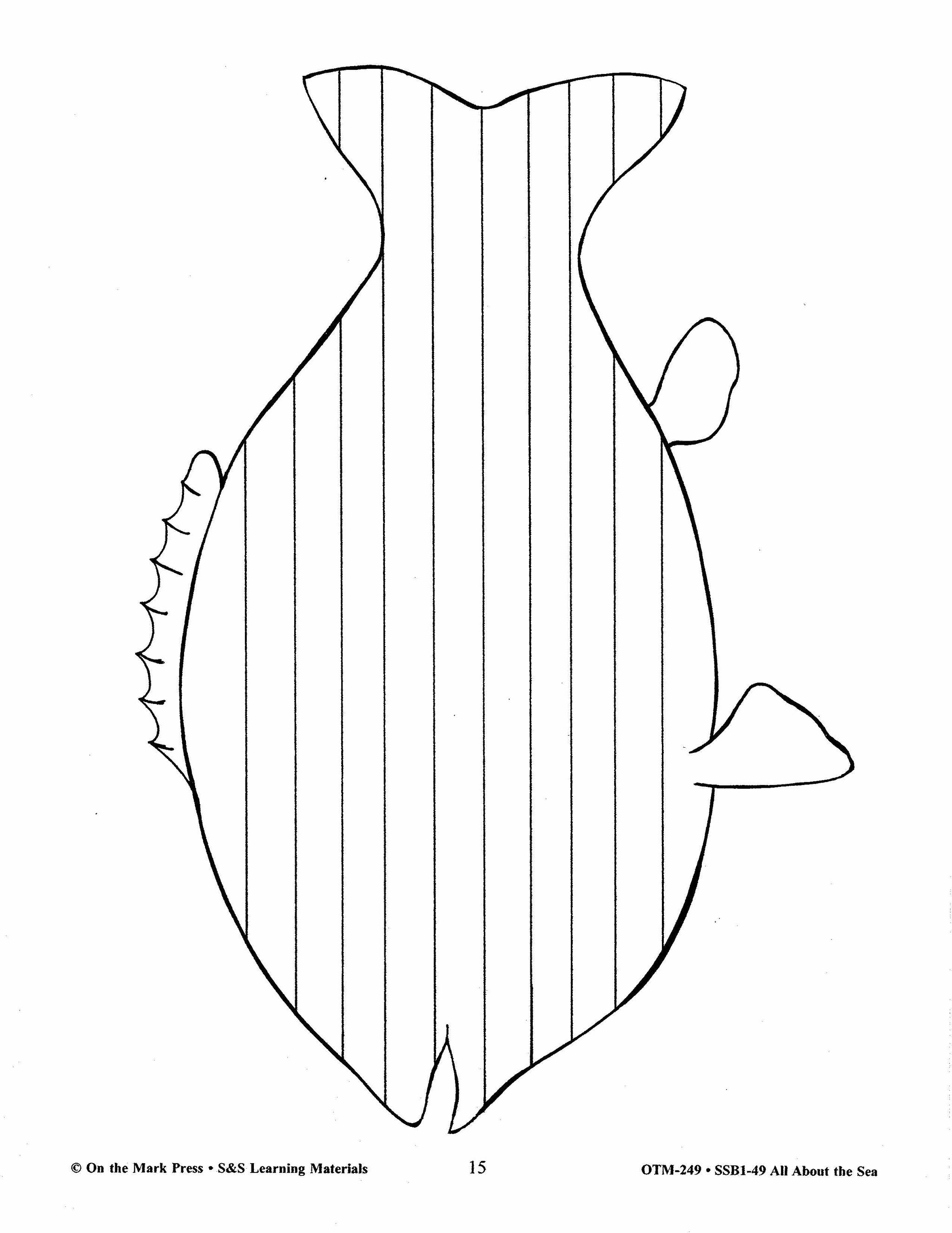 All About the Sea Grades 4-6