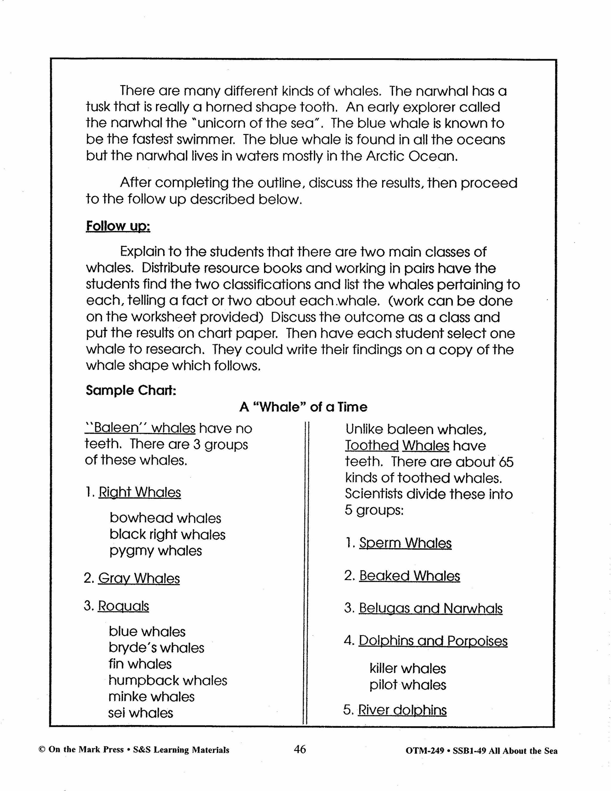 All About the Sea Grades 4-6