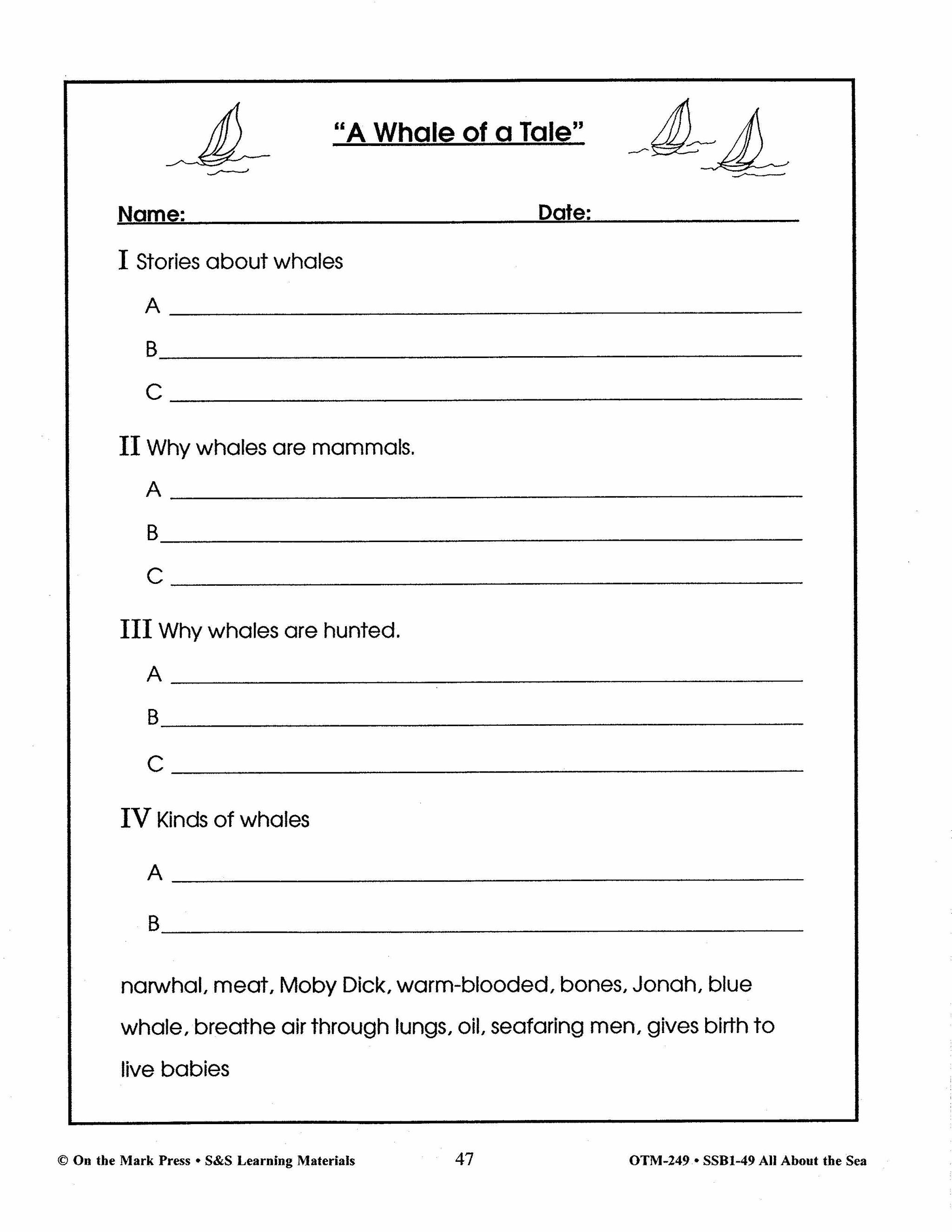 All About the Sea Grades 4-6