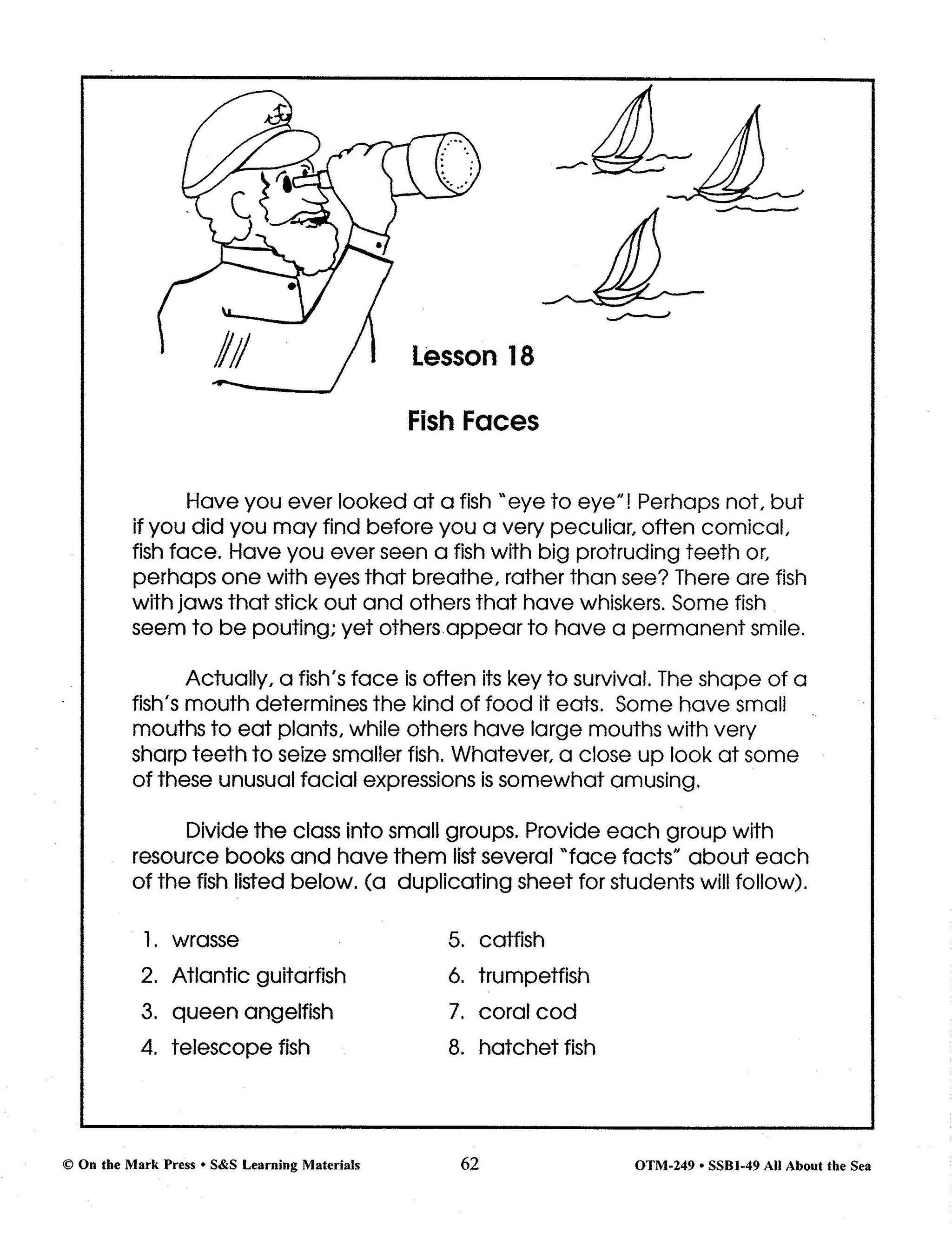 All About the Sea Grades 4-6