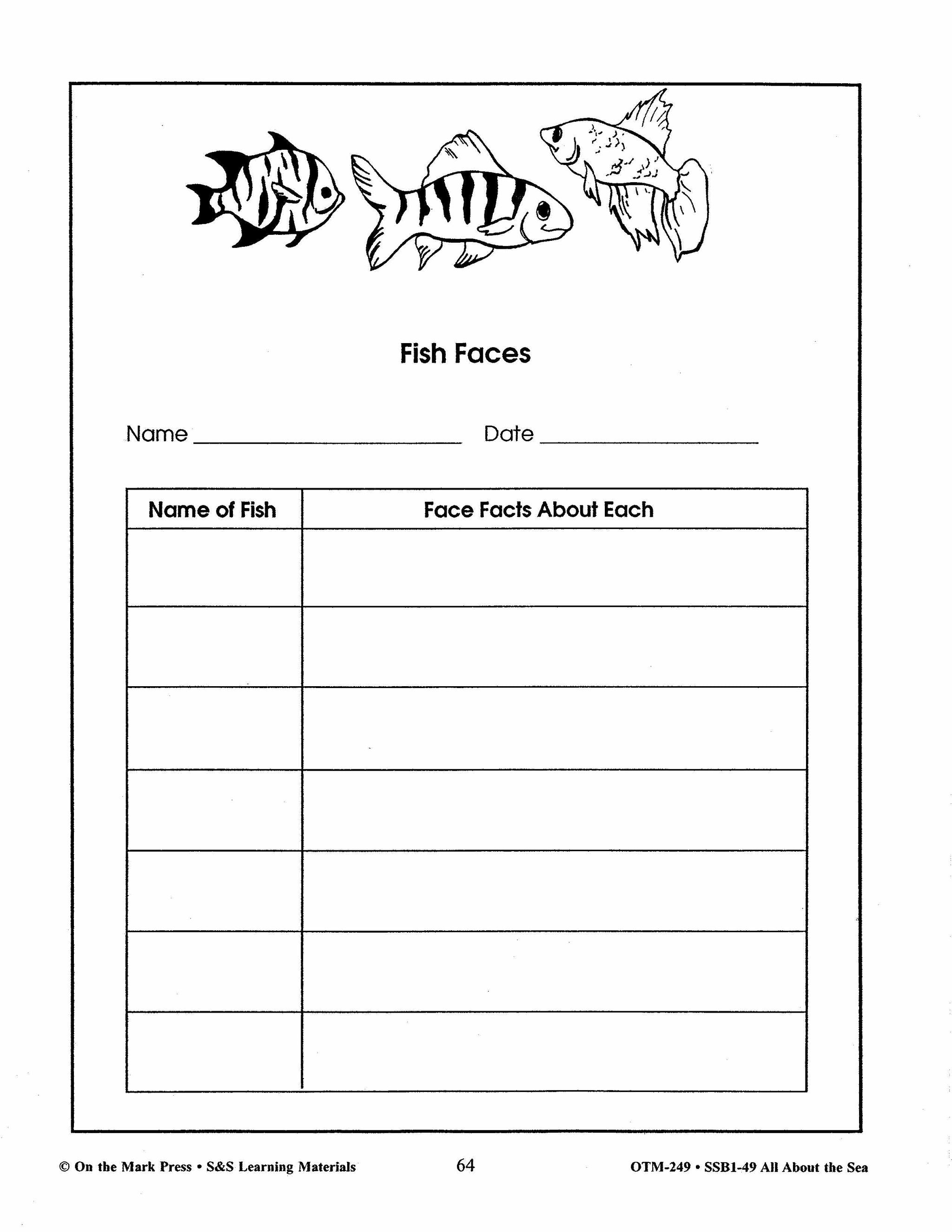 All About the Sea Grades 4-6