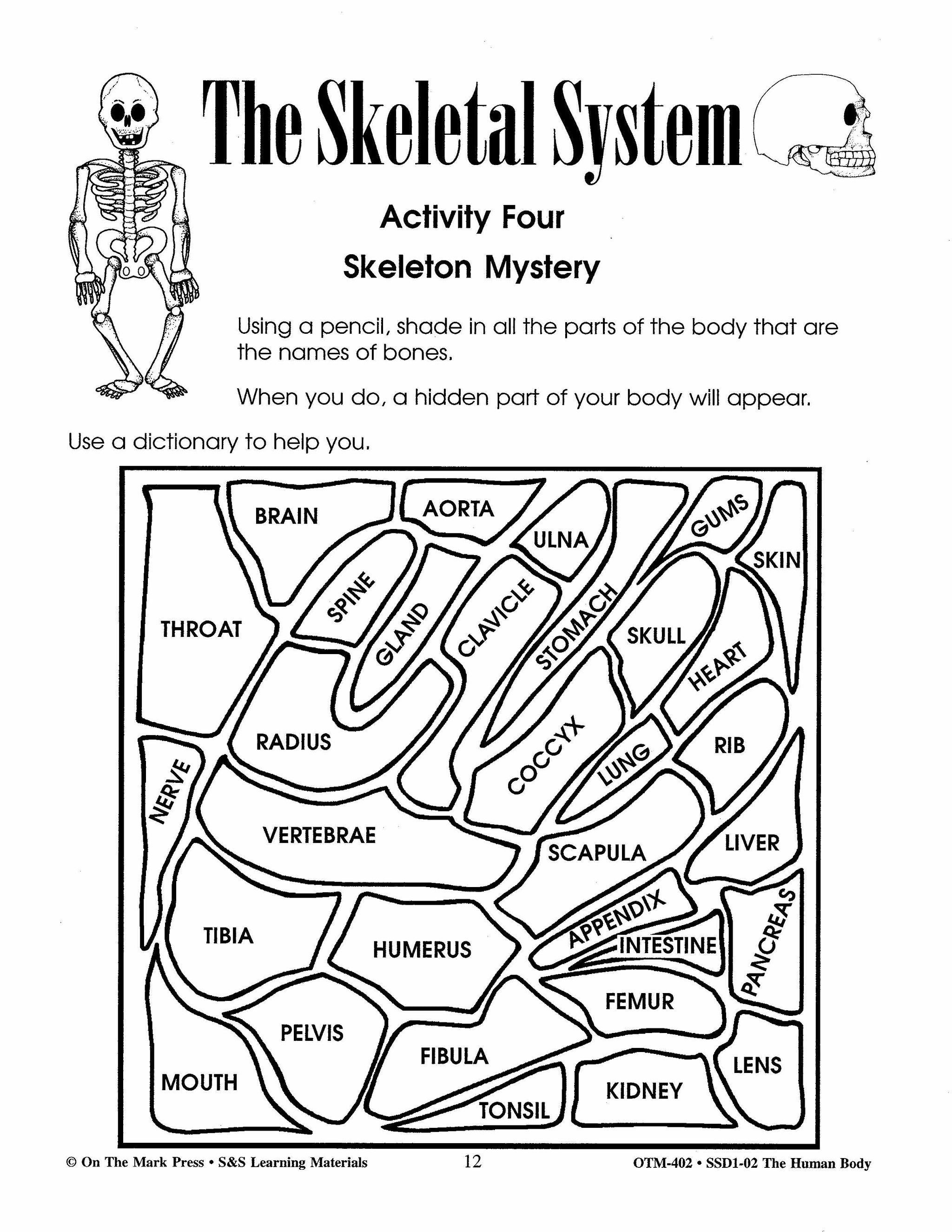 Human Body Systems and Nutrition Grades 4-6