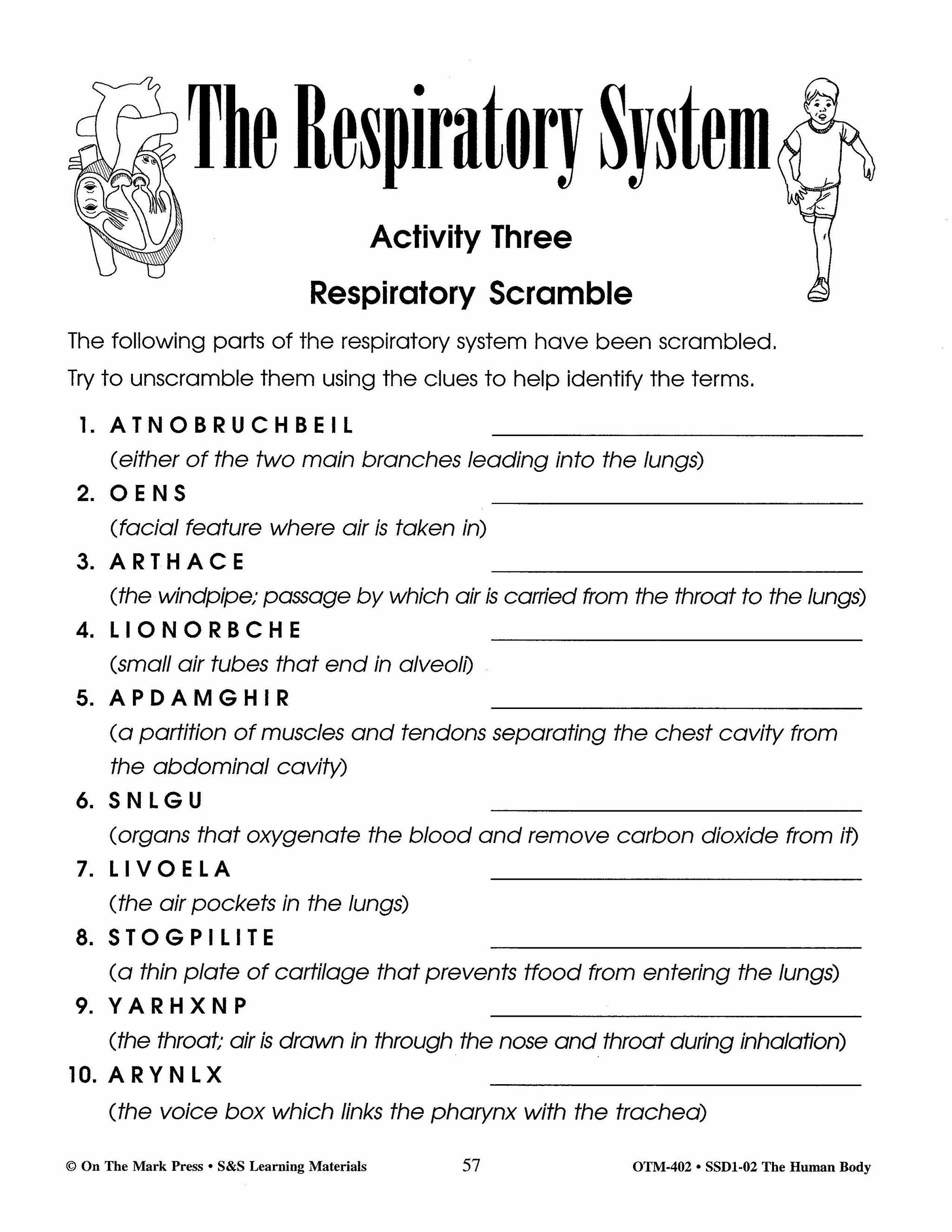 Human Body Systems and Nutrition Grades 4-6