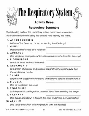 Human Body Systems and Nutrition Grades 4-6