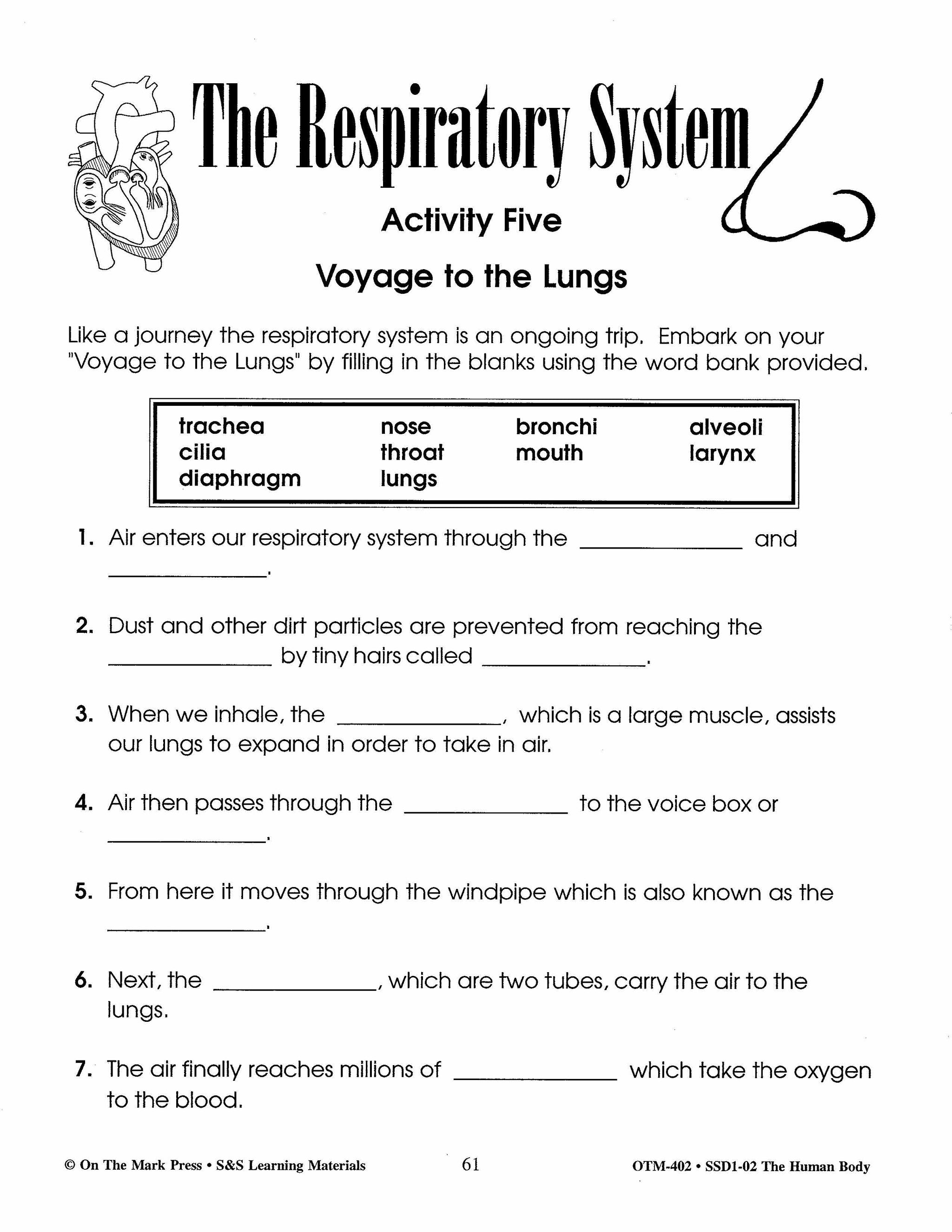 Human Body Systems and Nutrition Grades 4-6