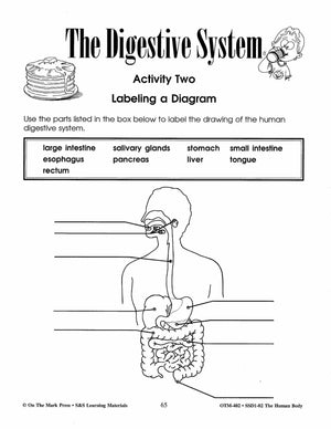 Human Body Systems and Nutrition Grades 4-6
