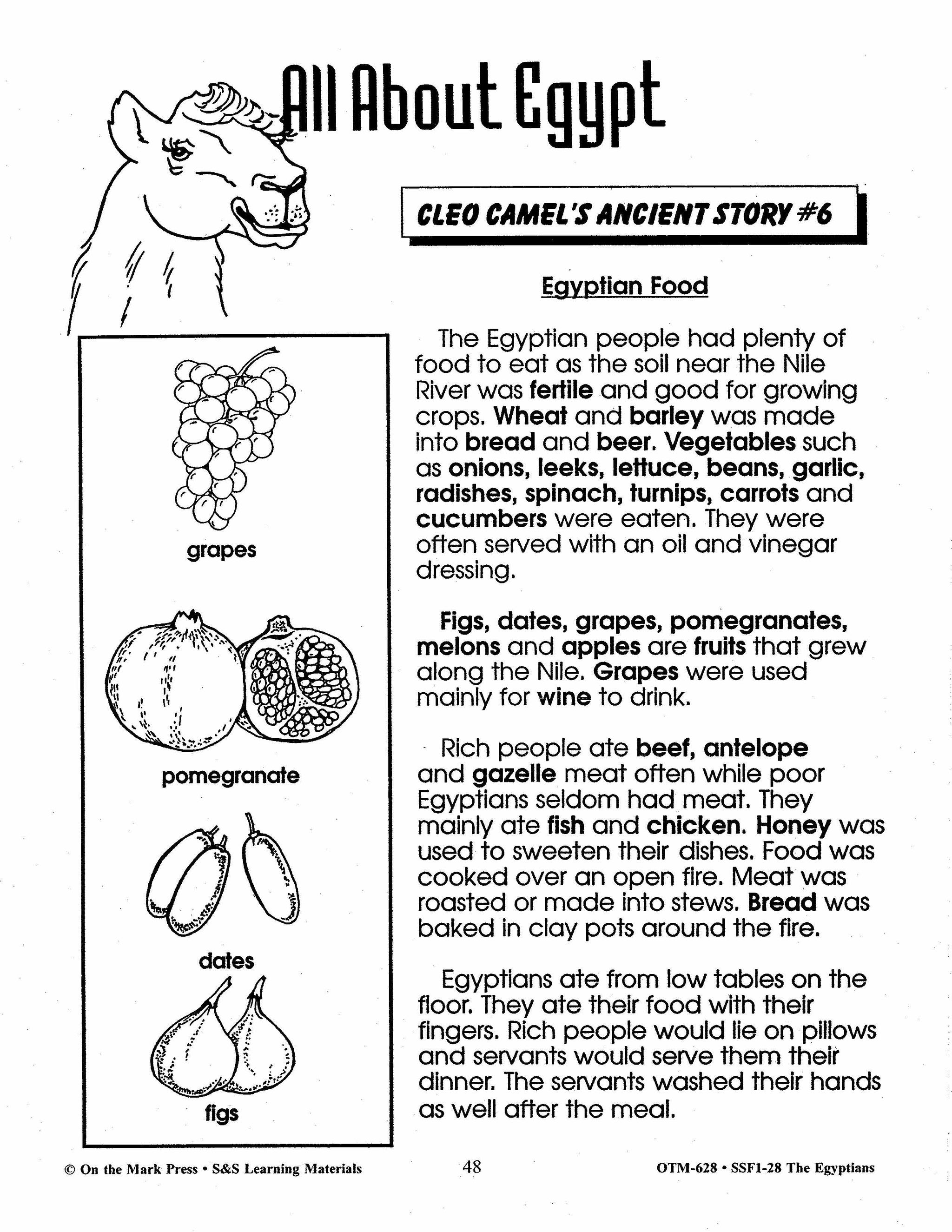 Egyptians Today & Yesterday Grades 2-3