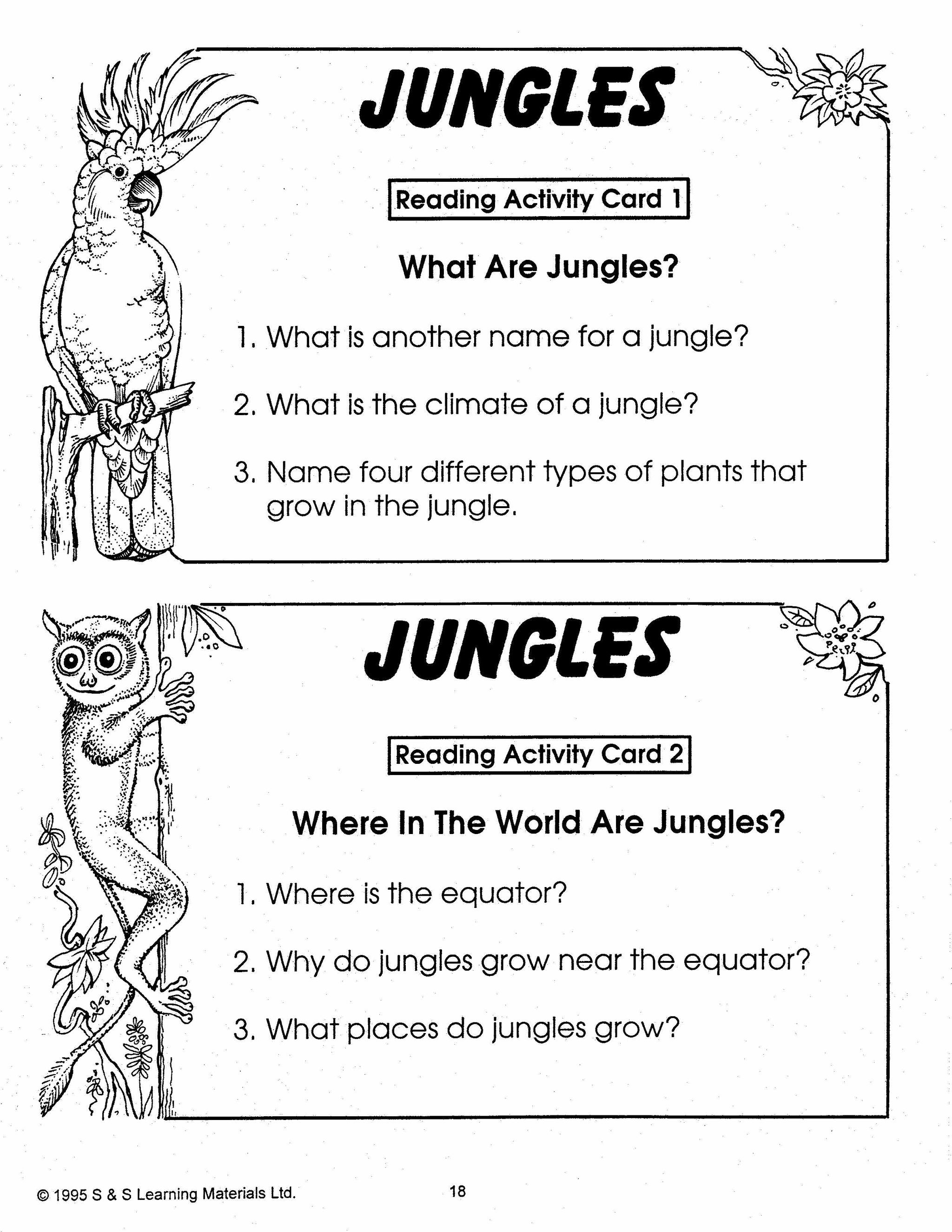 All About Jungles/Tropical Rainforest Grades 2-3