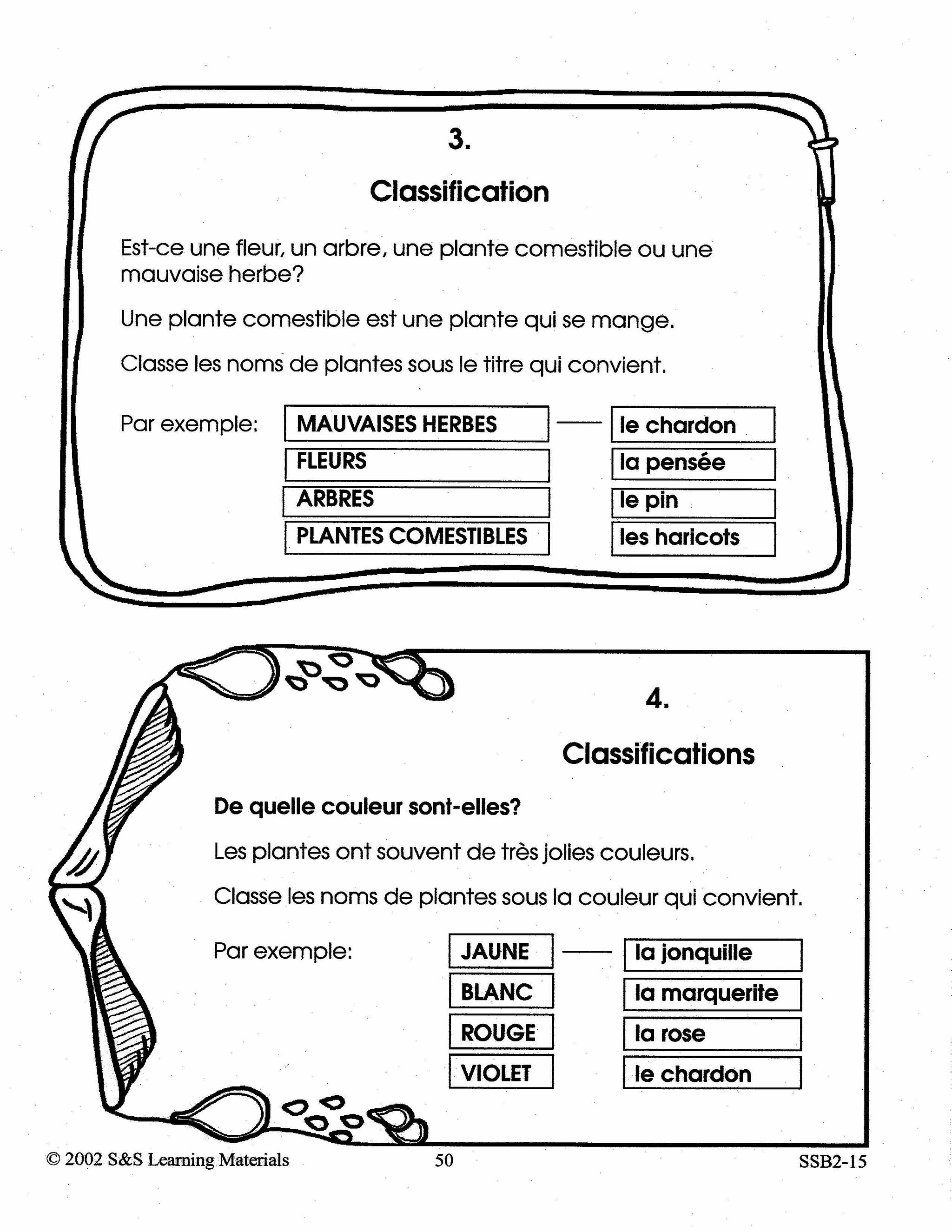 Tout sur les plantes 2e à 3e année