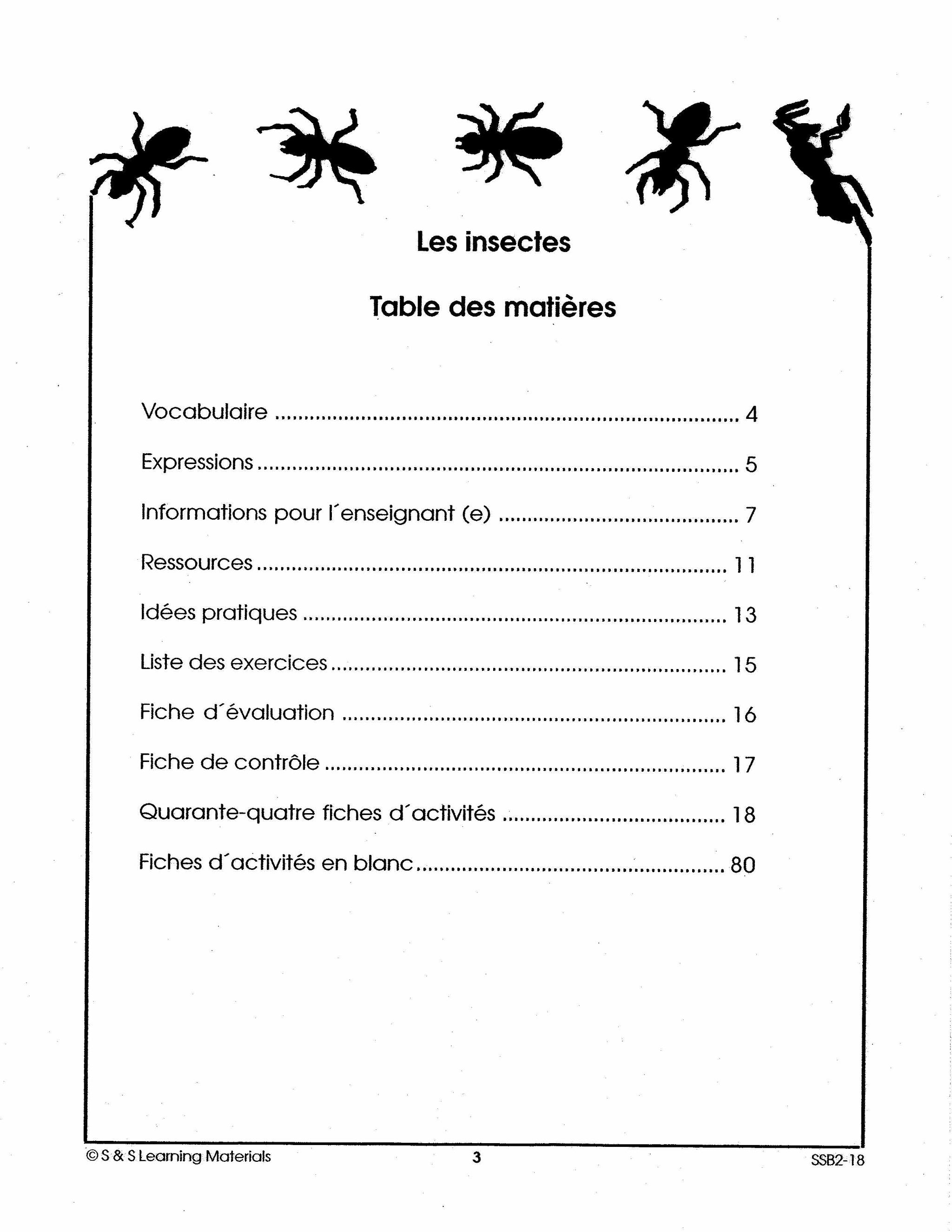 Les insectes 2e à 3e année