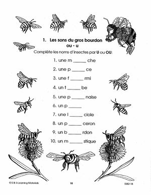 Les insectes 2e à 3e année