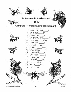Les insectes 2e à 3e année