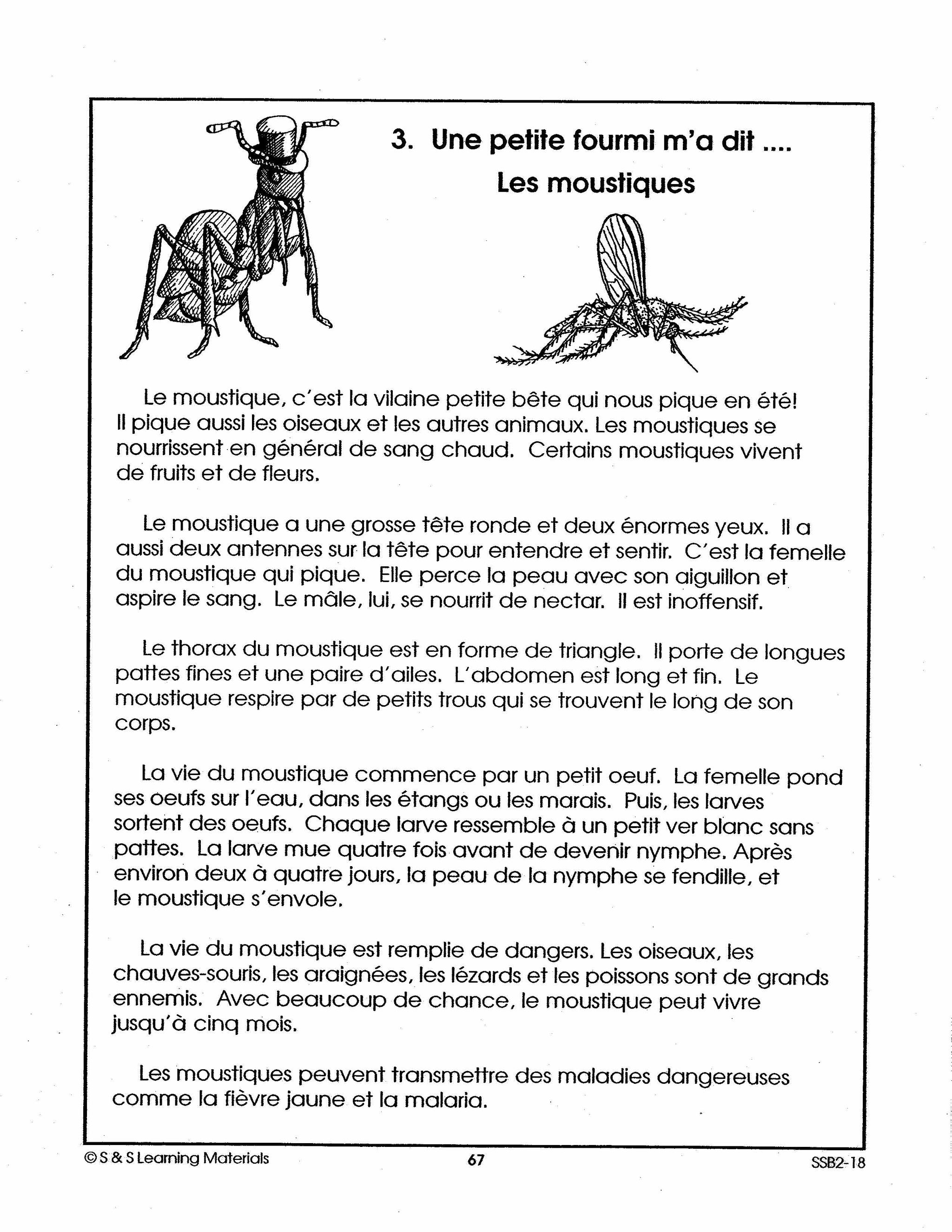 Les insectes 2e à 3e année