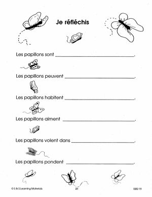 Les petits insectes 1e à 2e année