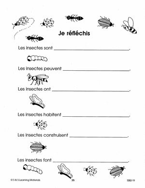 Les petits insectes 1e à 2e année