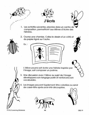 Les petits insectes 1e à 2e année