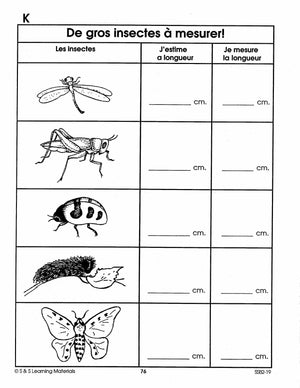 Les petits insectes 1e à 2e année