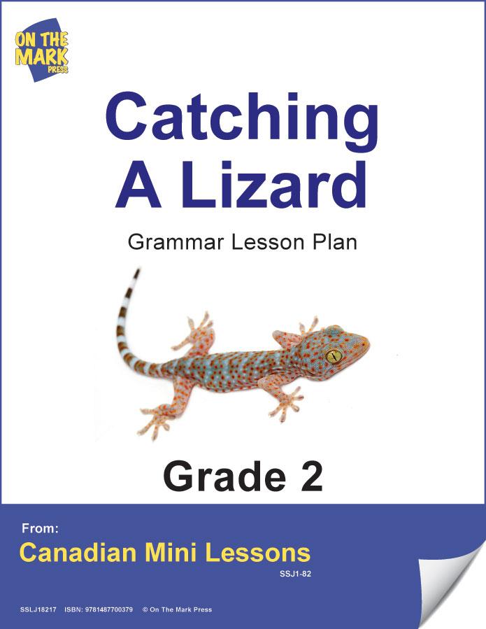 Catching a Lizard Writing & Grammar Lesson Grade 2