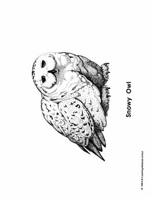 Inuit Black & White Picture Collection Grades K-8