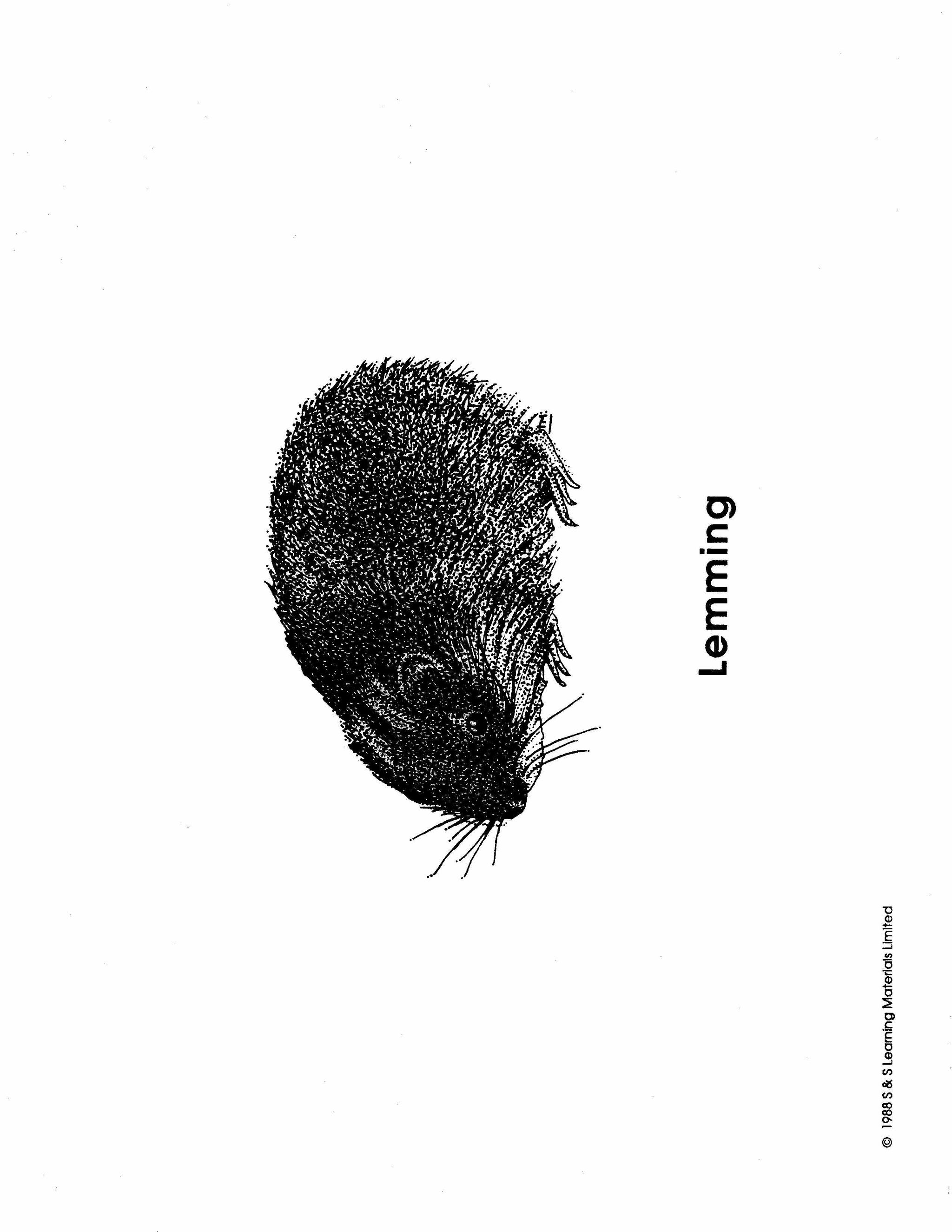 Inuit Black & White Picture Collection Grades K-8