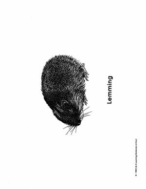 Inuit Black & White Picture Collection Grades K-8