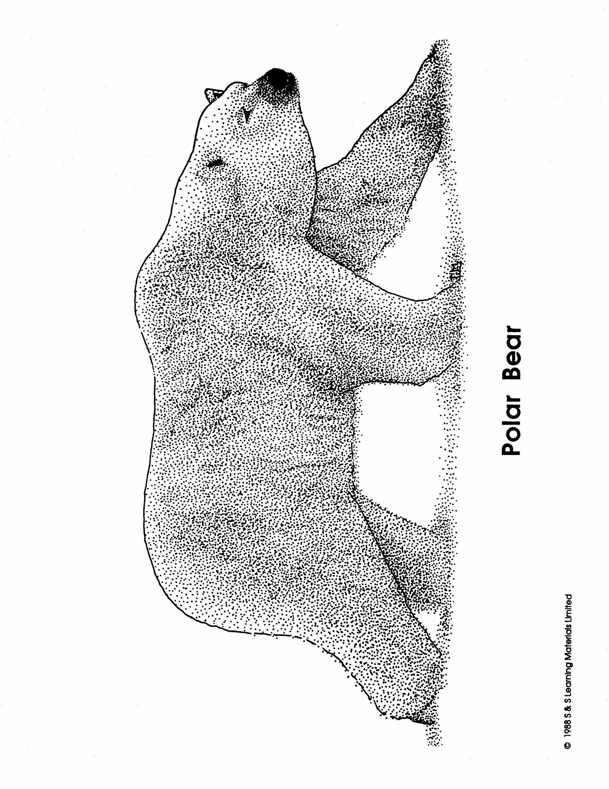 Inuit Black & White Picture Collection Grades K-8