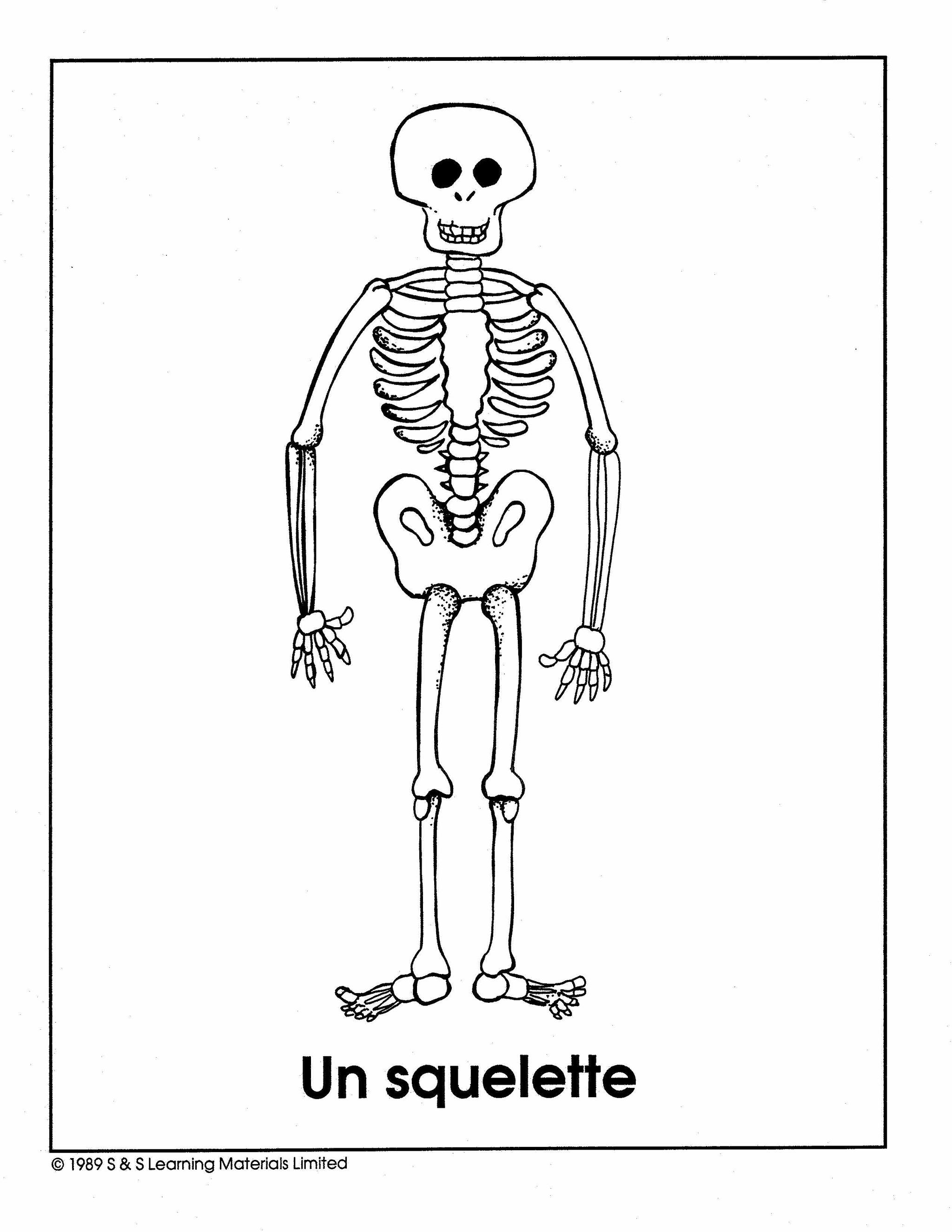 L'Halloween Collection D'Image