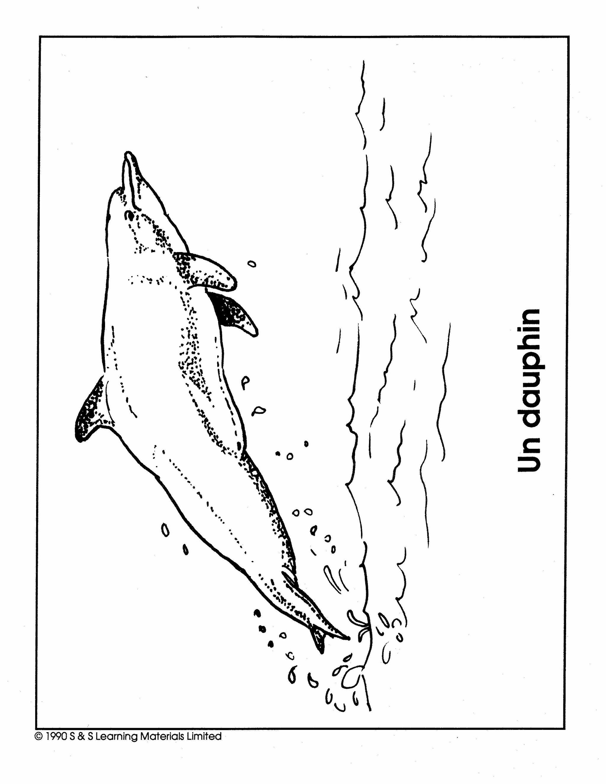 Les Animaux de la Mer Collection d'image 1e à 8e année