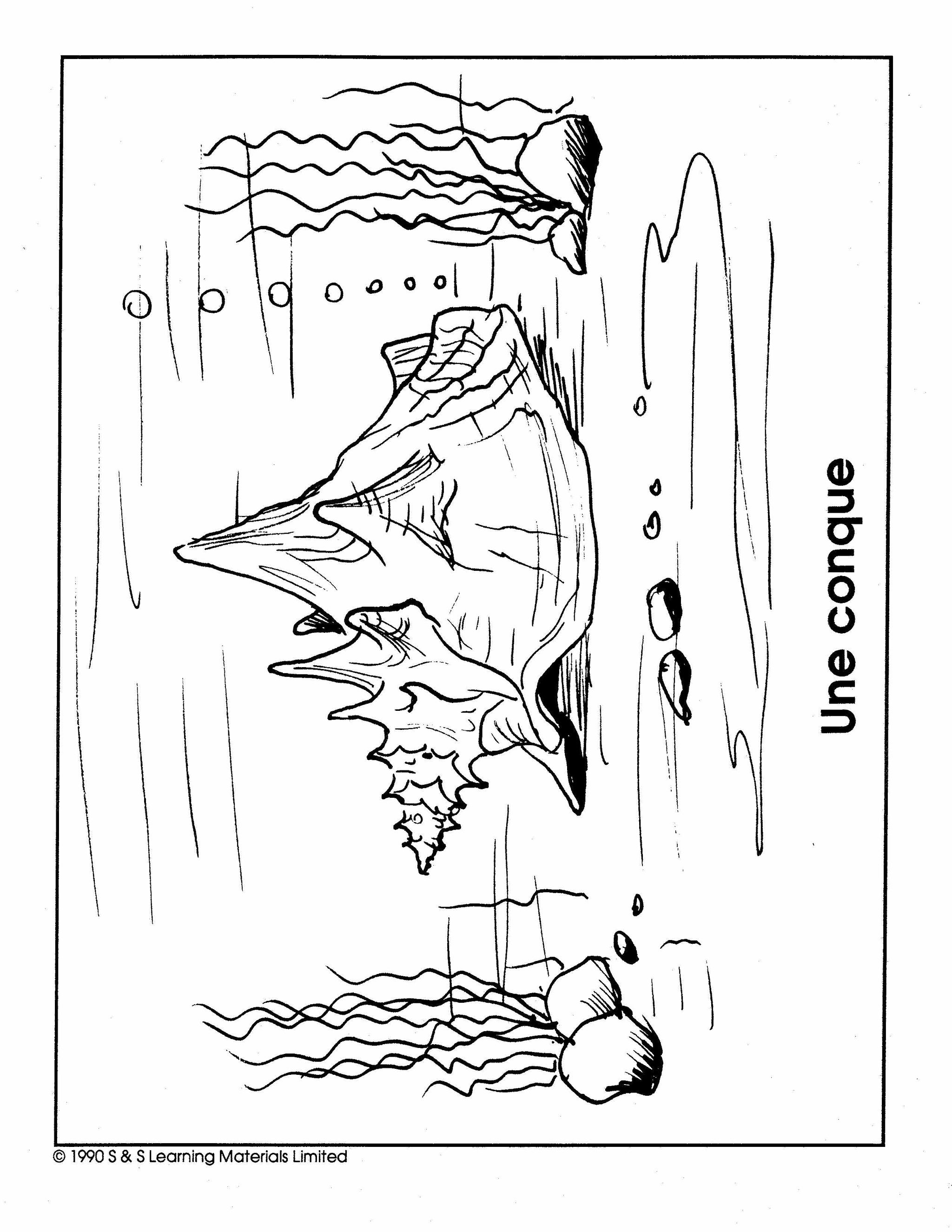 Les Animaux de la Mer Collection d'image 1e à 8e année