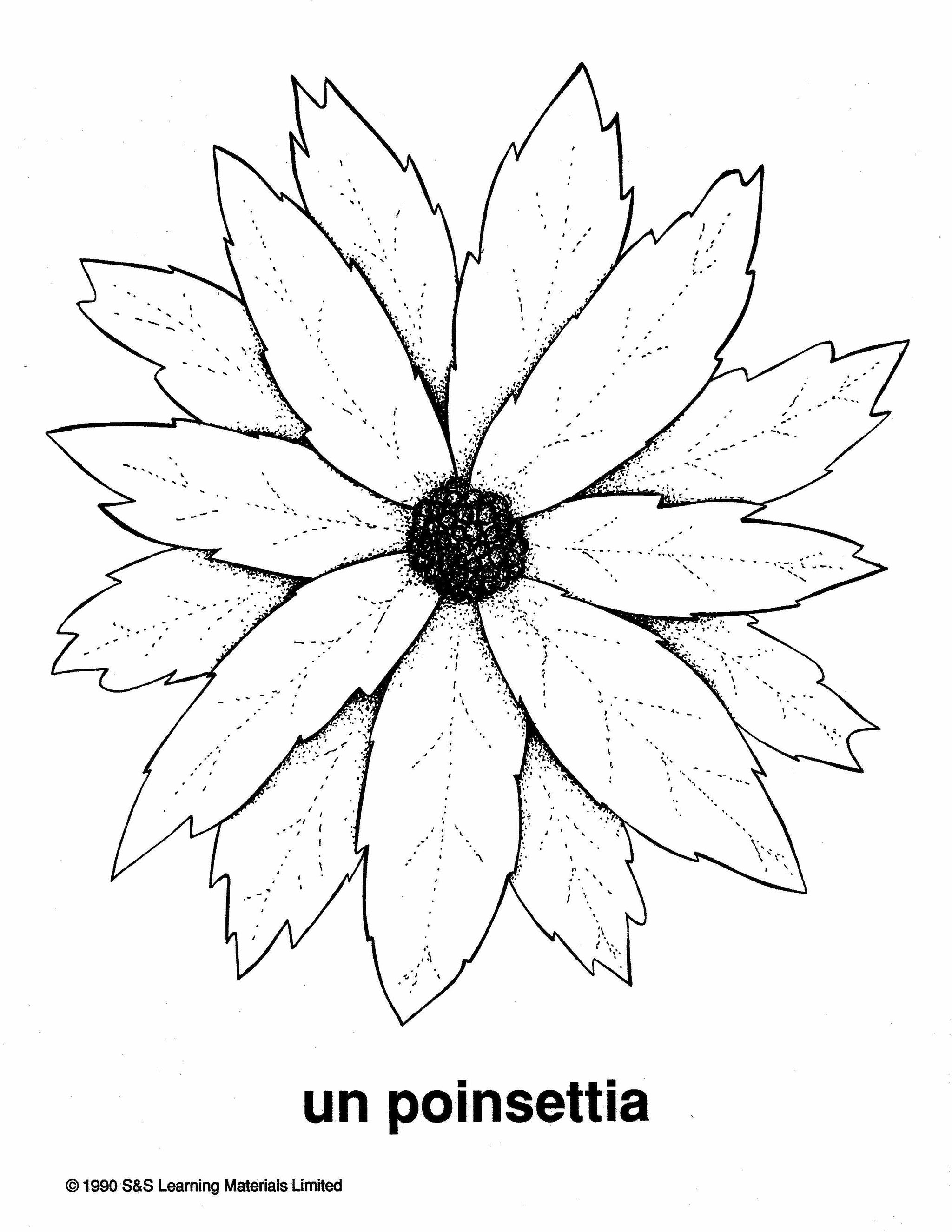 Noël Collection d'image