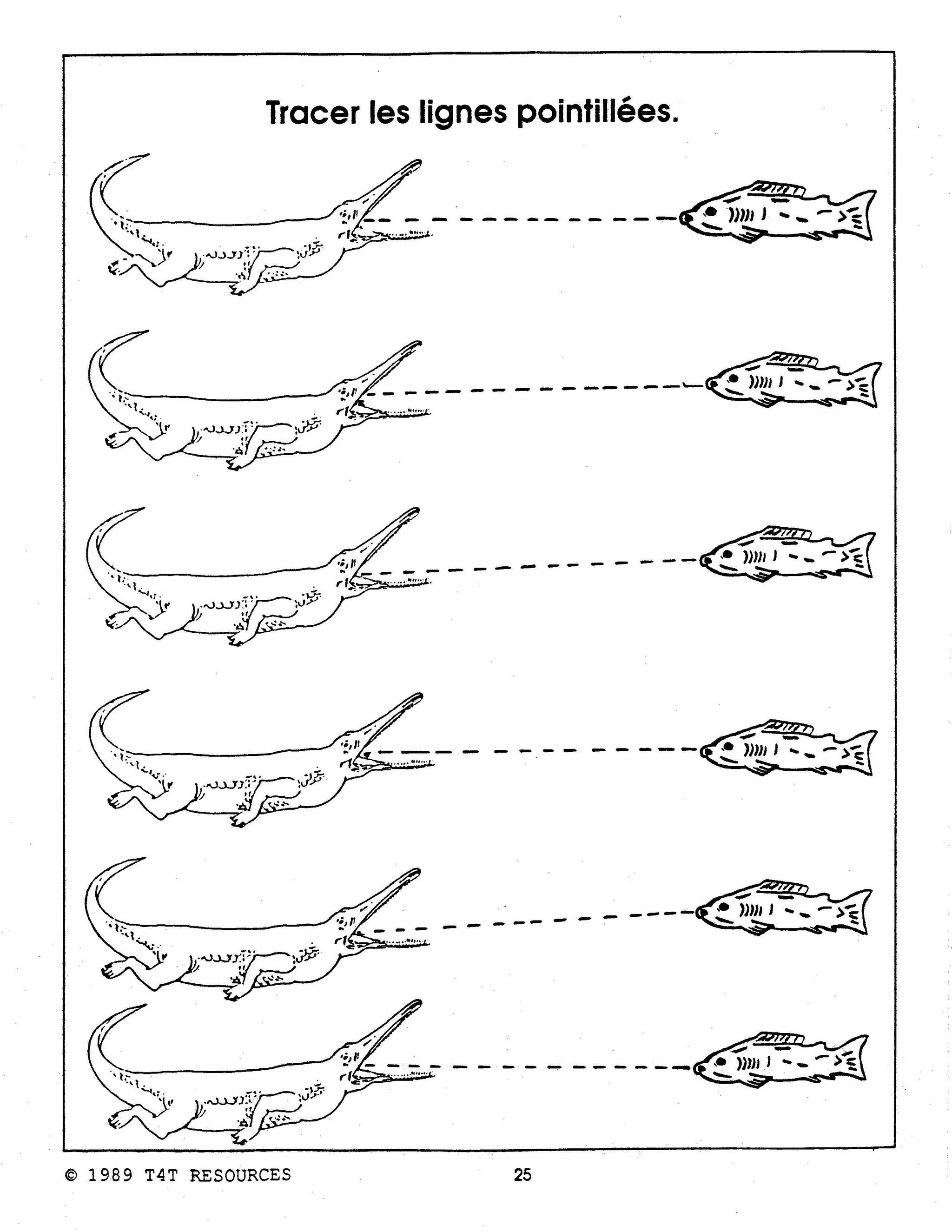 Les Dinosaures Unité thématique - Jardin d'enfants